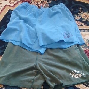 Champion Blue and Green Athletic Shorts